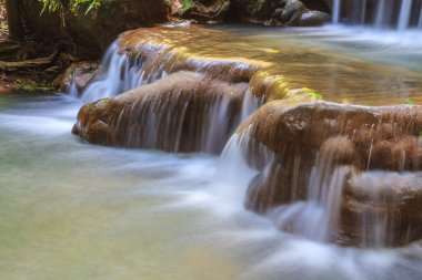 Tropikal ormanda şelale 