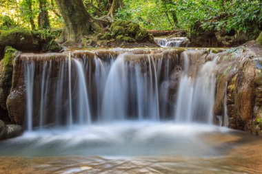Tropikal ormanda şelale 
