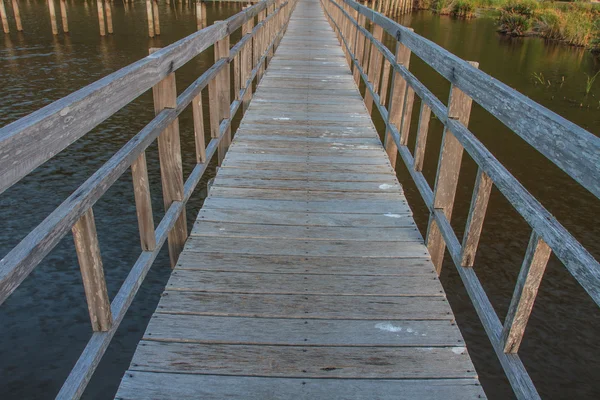 Träbro i lotussjön — Stockfoto