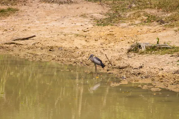 Offene Rechnung in der Natur — Stockfoto