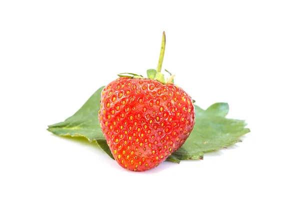 Schöne Erdbeeren isoliert auf weiß — Stockfoto