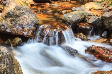 şelale ve yosun kaplı kaya