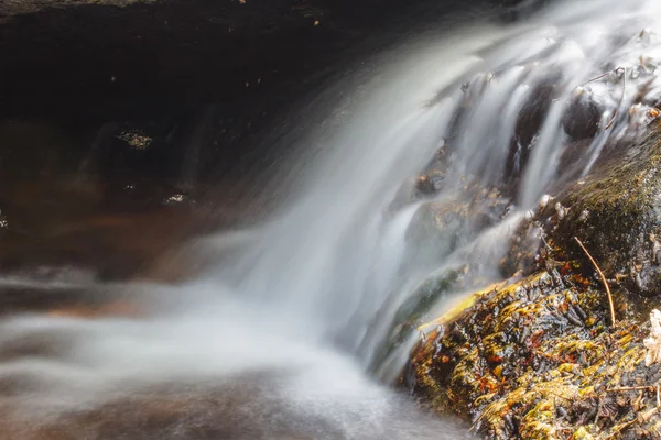 Pequena cachoeira na floresta profunda — Fotografia de Stock