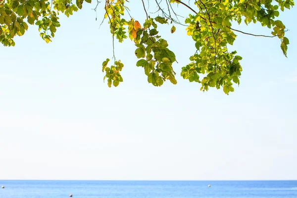 Vista de la isla de koh hong krabi, Tailandia — Foto de Stock