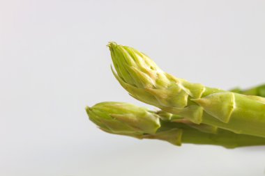 arka plan üzerinde taze yeşil kuşkonmaz