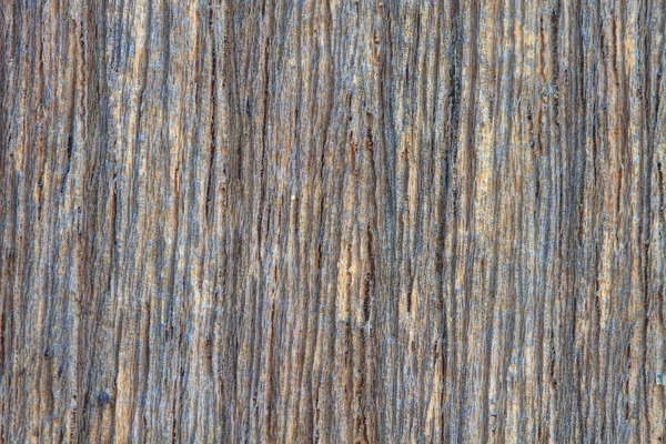 Textuur van bast hout gebruikt als natuurlijke achtergrond — Stockfoto