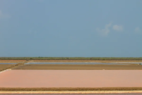 Salt in the Saline in rural — Stock Photo, Image