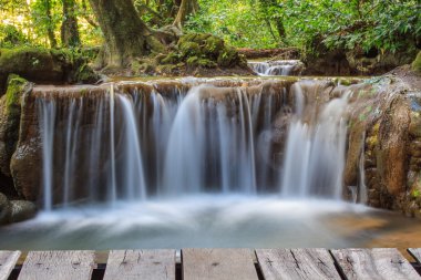 Tropikal ormanda şelale 