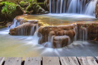 Tropikal ormanda şelale 