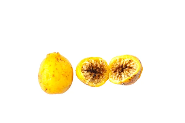 Płacz rys., Ficus benjamina owoców — Zdjęcie stockowe