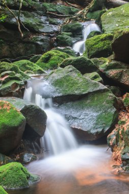 şelale ve yosun kaplı kaya