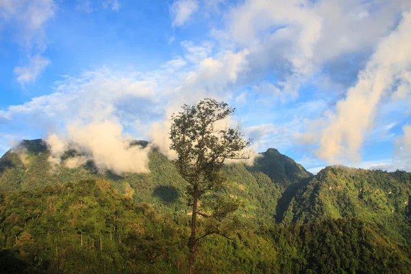 Montanhas verdes e floresta no topo veiw — Fotografia de Stock