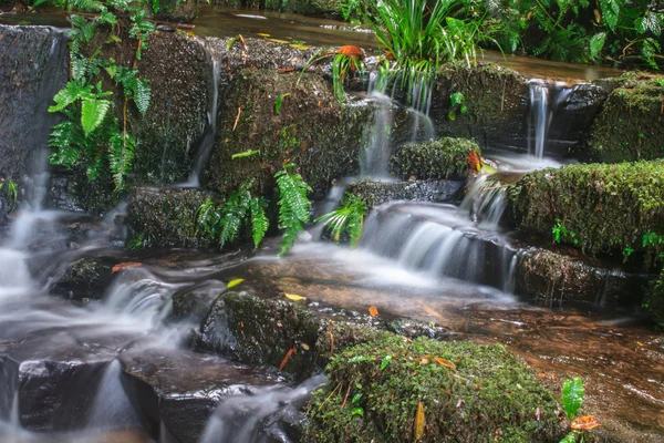 Cachoeira e rochas cobertas de musgo — Fotografia de Stock