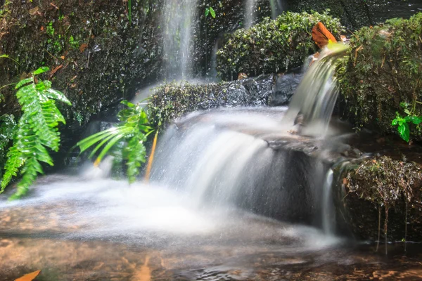 Cachoeira e rochas cobertas de musgo — Fotografia de Stock