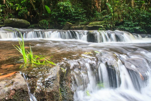 Cachoeira e rochas cobertas de musgo — Fotografia de Stock