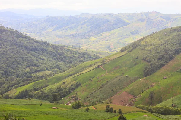 Campos en las montañas — Foto de Stock