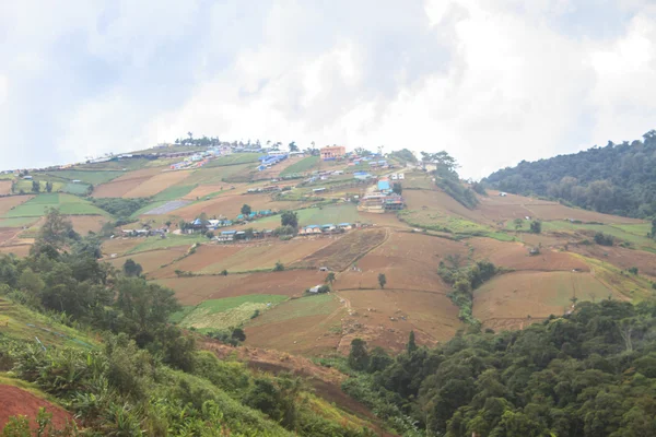 Campos en las montañas — Foto de Stock