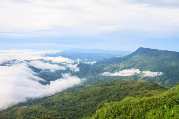 Sea of fog with forests as foreground — Stock Photo, Image