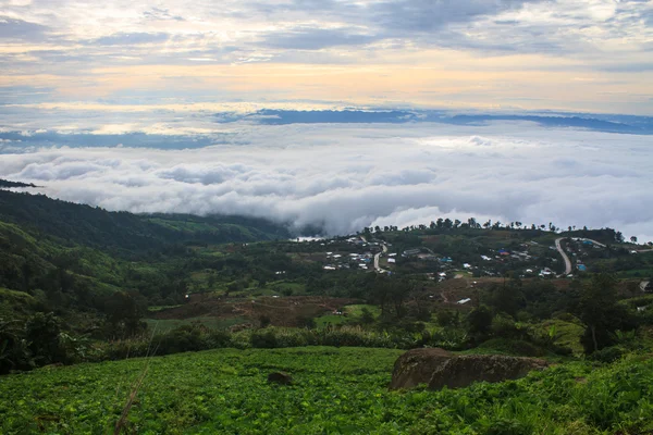 Mar de niebla con bosques como primer plano — Foto de Stock