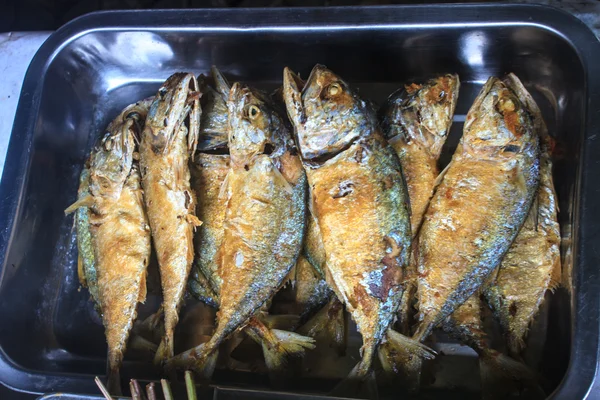 Caballa fresca frita en un plato —  Fotos de Stock