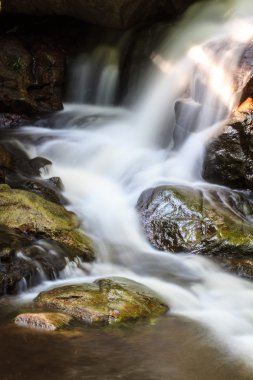 şelale ve yosun kaplı kaya