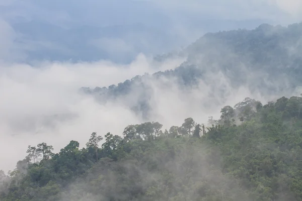 Niebla y nube montaña valle paisaje — Foto de Stock