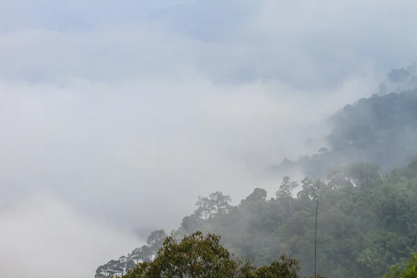 Brouillard et nuage montagne vallée paysage — Photo