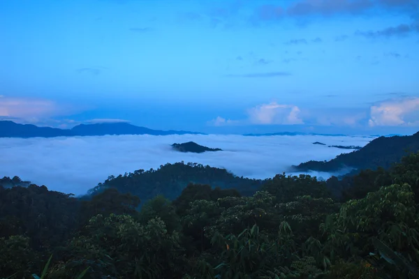 Mer de brouillard avec les forêts comme premier plan — Photo