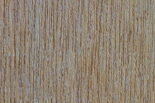 Textura dřeva kůry — Stock fotografie
