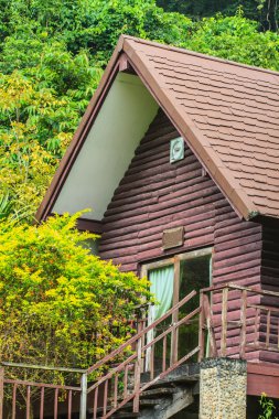 ahşap ev ve Bahçe mimari tasarım