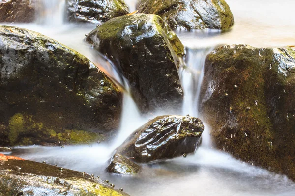 Chute d'eau naturelle en forêt profonde — Photo