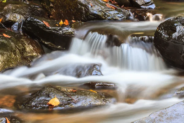 Natur vattenfall i djupa skogen — Stockfoto