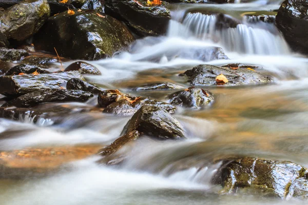 深い森の自然の滝 — ストック写真