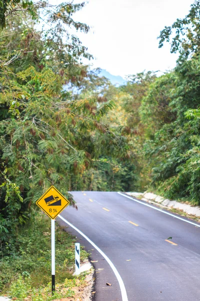 Yeşil bir ormanda yol — Stok fotoğraf