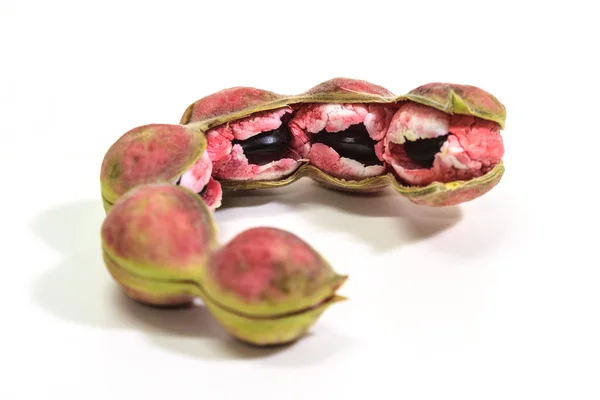 Owoc tamaryndowca Manila — Zdjęcie stockowe