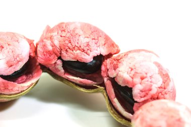 Manila demirhindi meyve