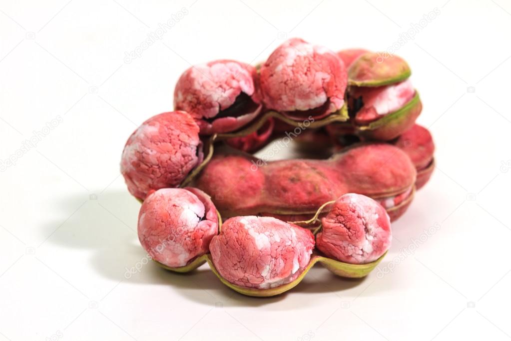 Manila tamarind fruit