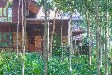 ahşap ev ve Bahçe mimari tasarım