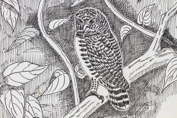 Kuş çizimi — Stok fotoğraf