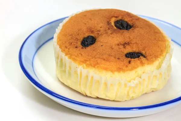 Bolo de esponja com groselhas — Fotografia de Stock