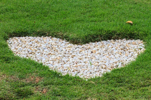 Heart in the garden — Stock Photo, Image