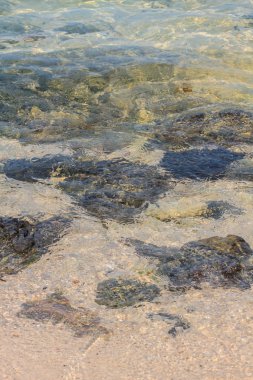 Yaz aylarında güzel tropik deniz