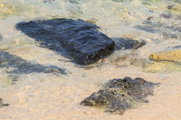 Yaz aylarında güzel tropik deniz — Stok fotoğraf