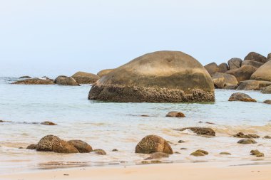 Yaz aylarında güzel tropik deniz
