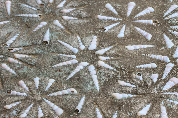 Floor concrete with sea shells contains — Stock Photo, Image