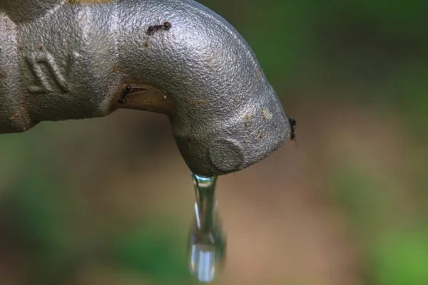 Robinet avec goutte d'eau — Photo