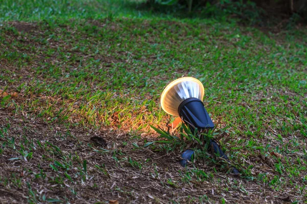 Spotlight on the garden — Stock Photo, Image