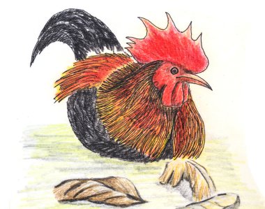 Orman Tavuğu kuş çizim