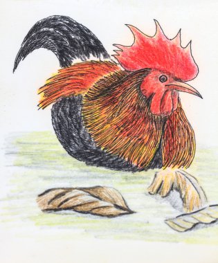 Orman Tavuğu kuş çizim