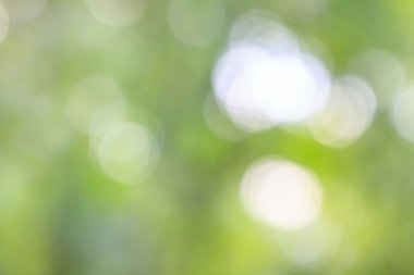 soyut bulanık bokeh arka plan